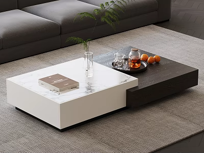 Modern Coffee Table with White and Dark Design Featuring Green Plant Book and Fruit Tray 3d model