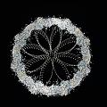 Circular Decorative Ceiling With Intricate Metal Petal Patterns And Elegant Design 3d model