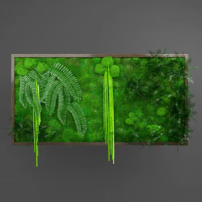 Lush Indoor Living Plant Wall with Ferns Moss and Hanging Greenery 3d model
