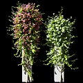 Lush Vines With Pink And Green Flowers Growing On Decorative Pillars