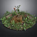 Rustic Tree Stump Scene With Axe Green Plants Grass And Stones