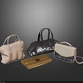 Stylish Assorted Handbags Clutch Crossbody Bags In Pink Blue Gold Gray And Plaid Design 3d model