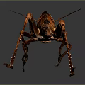 grasshopper insect cartoon locust animation locust anime locust anime game character 3d model