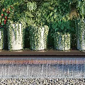Outdoor Living Plant Wall Design With Red Awning Wooden Backdrop And Small Water Feature