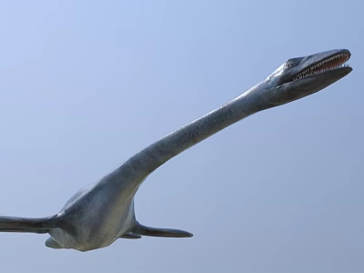 Realistic Plesiosaur Game Movie Character With Extended Neck Open Jaws And Fins 3d model