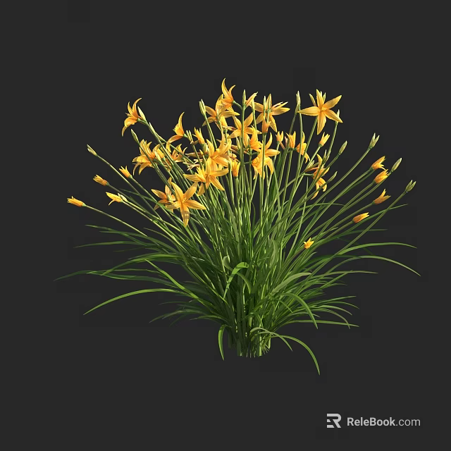 Lush Green Shrub With Vibrant Yellow Flowers And Long Graceful Leaves In Natural Garden 3d model 