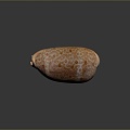 Shell Cartoon Pearl Pink Red Shell Mussel Clam Freshwater Pearl Seawater Pearl Nanyang Pearl 3d model