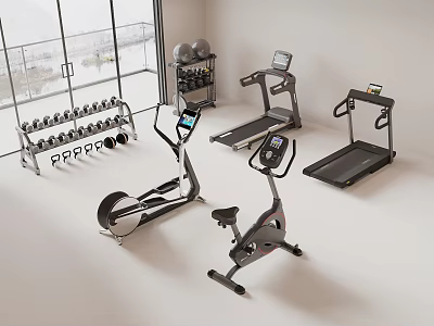 Home Gym Fitness Equipment Setup With Treadmill Elliptical Bike Dumbbell Rack And Balls 3d model