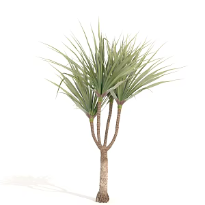 Trees Arbor Landscape Trees 3d model