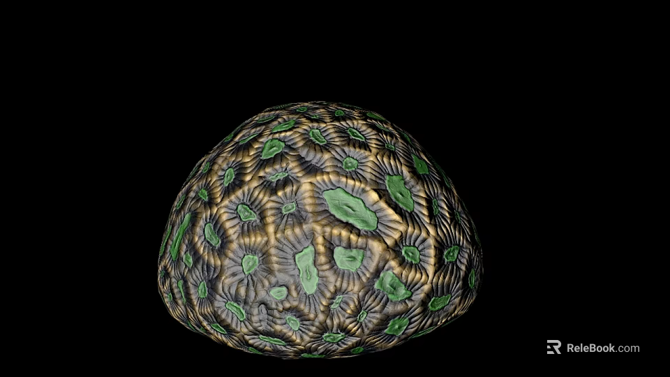 Vibrant Spherical Marine Coral Displaying Green Yellow Textured Surface Patterns 3d model 