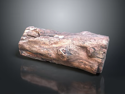 Natural Wooden Stone Log With Natural Texture And Knots On Black Reflective Surface Background 3d model
