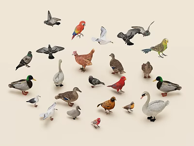 Various Flying Animals Collection Featuring Different Bird Species and Types Together 3d model