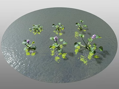 Aquatic Plants With Green Leaves And Purple Flowers On Circular Water Surface With Reflection 3d model