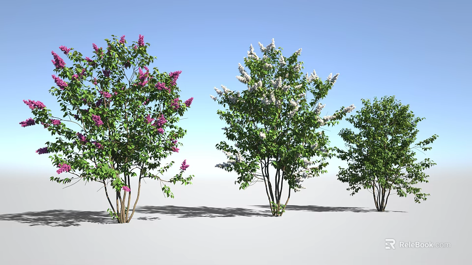 Various Types of Trees Featuring Pink White Flowers Green Leaves and Blue Sky 3d model 