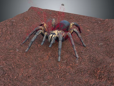 Large Yellow Black Spider On Red Soil Ground In Natural Habitat Setting 3d model