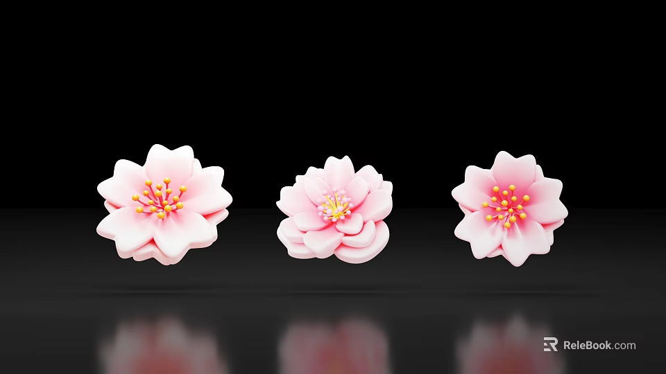 Pink Cherry Blossom Flowers Photo Check in Spot With Black Background Reflections 3d model 