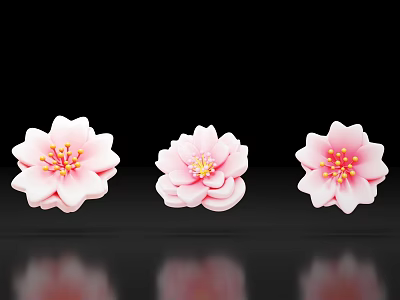 Pink Cherry Blossom Flowers Photo Check in Spot With Black Background Reflections 3d model
