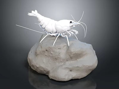 Realistic White Shrimp 3D Model Standing On Natural Rock Surface 3d model