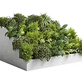Modern Garden Ornament With Rectangular Concrete Planter And Lush Green Plants 3d model