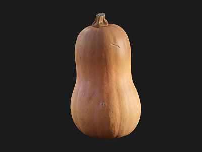 Ripe Orange Pumpkin Fresh Organic Vegetable With Natural Texture Isolated On Black Background 3d model