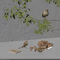 Small Birds Perched on Tree Branch With Green Leaves Near Walnuts and Book on Table