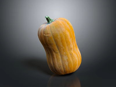 Whole Fresh Orange Striped Pumpkin On Dark Background With Shiny Surface 3d model