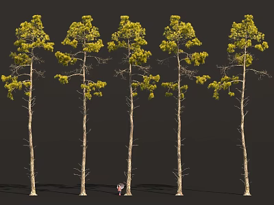 Tall Trees With Slender Trunks And Yellow Leaves Featuring Small Cartoon Character At Base 3d model