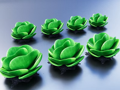 Lotus Shaped Green Succulent Plants with Multiple Specimens on Dark Background 3d model