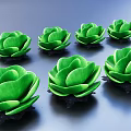 Lotus Shaped Green Succulent Plants with Multiple Specimens on Dark Background