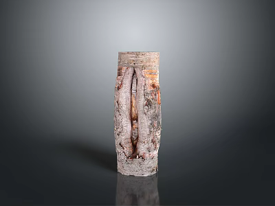 Natural Plant Stem Decorative Artwork With Textured Surface And Gray Background 3d model
