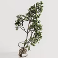 Elegant Decorative Ornament Set With White Vase And Lush Green Leafy Plant