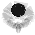 Modern Abstract Chandelier Design With Black Ceiling Plate And Petal Shaped Shades