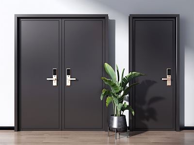 Modern double door entry door double door single door model