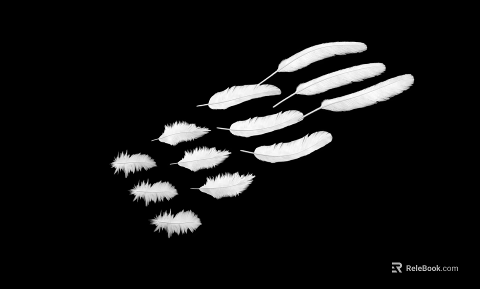 Flying Animal Bird Scattered White Feathers on Black Background 3d model 