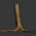 Natural Wooden Tree Stump With Stone Chip Covered Base And Visible Roots