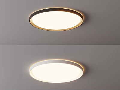 Modern Round Ceiling Light with Metal Frame and White Illumination for Interior Spaces 3d model