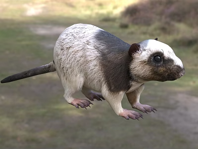 Gray And White Reptile With Short Limbs And Tail In Grassy Natural Habitat 3d model