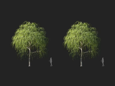 Two Green Willow Trees Against Black Background With Silhouette Figures Standing Underneath 3d model