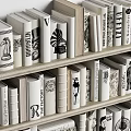 Stylish Bookshelf Collection With Various Books Magazines And Cover Designs
