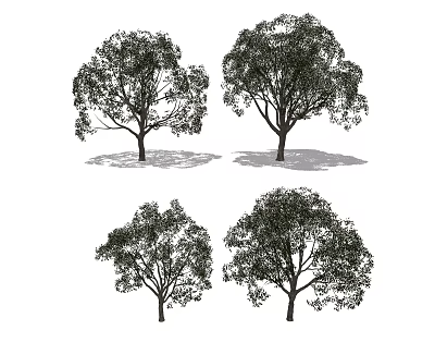 Four Arbor Silhouettes With Different Shapes And Black White Artistic Design 3d model