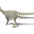 Modern Skeleton Dinosaur Skeleton 3d model