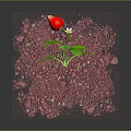Vibrant Green Leafy Plant With Red Flower Growing In Pink Gravel