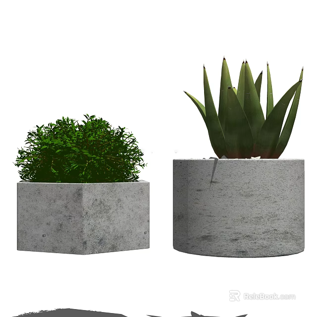 Lush Green Shrub Like And Aloe Like Potted Plants In Square And Cylindrical Concrete Pots 3d model 