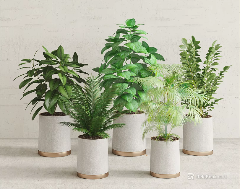Various Green Leafy Potted Plants In White Pots With Gold Bases For Indoor Decor 3d model 