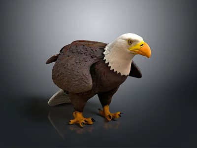 Bald Eagle Flying Bird With White Head Yellow Beak Brown Feathers And Sharp Claws Standing 3d model