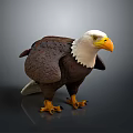 Bald Eagle Flying Bird With White Head Yellow Beak Brown Feathers And Sharp Claws Standing 3d model