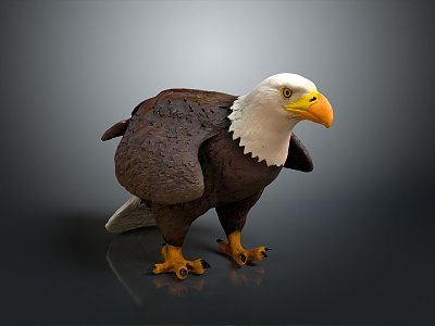 Eagle Large Eagle Owl Raptor Falcon Bird Animal Game Animal 3d model