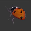 Shiny Red Ladybug With Black Spots Black Body And Legs On Dark Background With Reflection