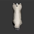 Light Beige Pug Standing Alert On Dark Background With Curled Tail 3d model