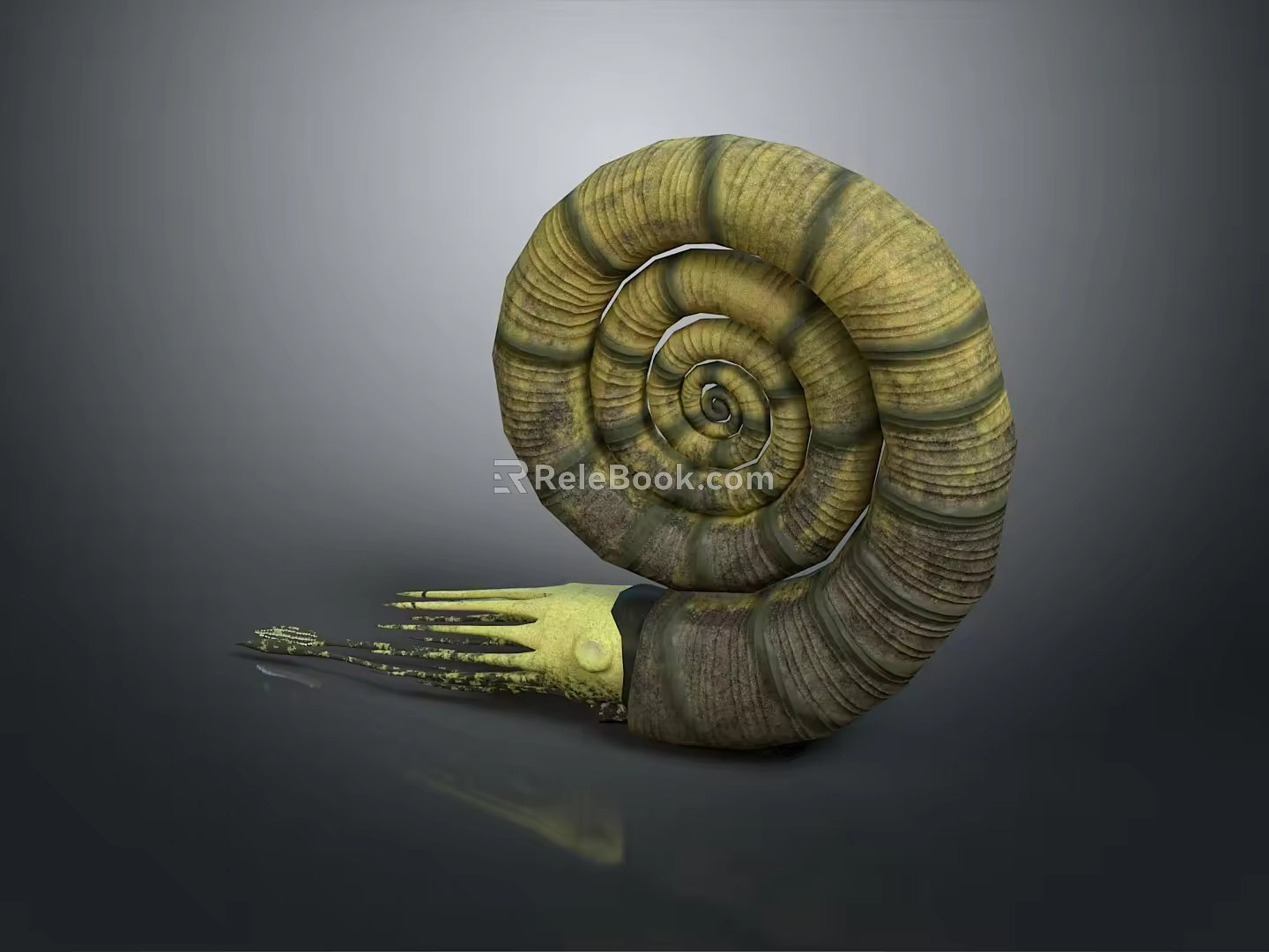 Snail Cartoon Snail Small Snail Reptile Cold Blooded Animal Reptile 3d model